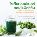 Cho12 โช-ทเวลฟ์ By เนย โชติกา