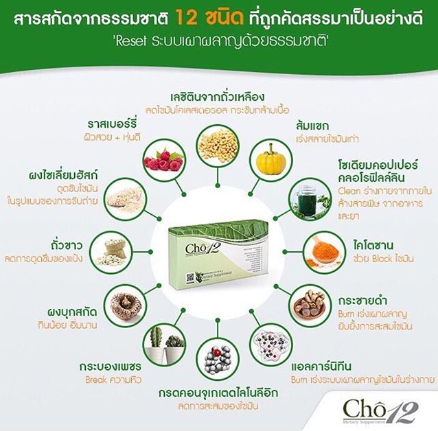 Cho12---by---1--L90493911